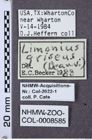 Etiketten zu Gambrinus griseus (NHMW-ZOO-COL-0008585)